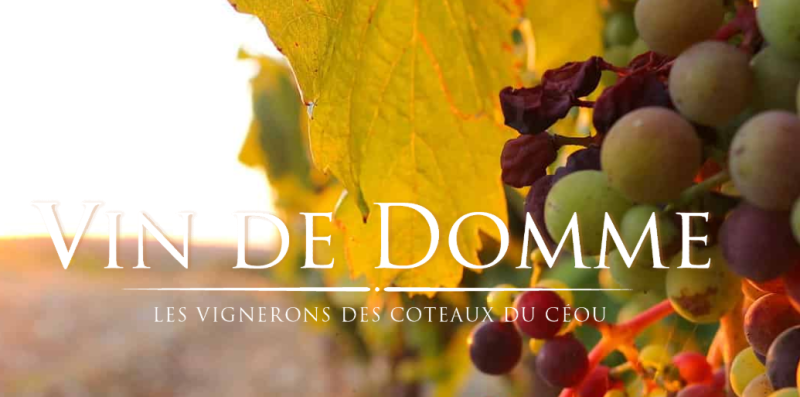 Cave à Vin, la Cave Vin de Domme à Florimont Gaumier (24) en Dordogne