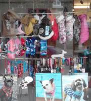 A Petit Pas de Toutou, salon de toilettage à Toulouse (31) en Haute-Garonne